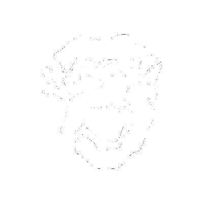 Jangrova Collective